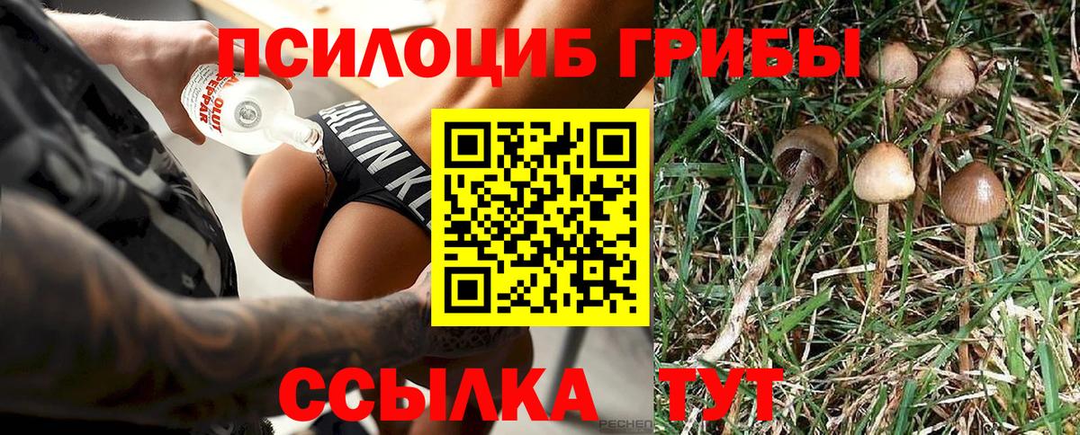 Псилоцибиновые грибы GOLDEN TEACHER Кропоткин