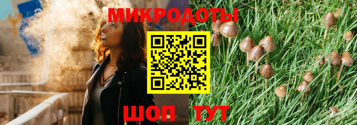 Кропоткин  Псилоцибиновые грибы MAGIC MUSHROOMS  Галлюциногенные грибы прущие грибы  Вход с VPN 